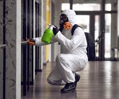 Mold Remediation for Vacation Homes in Titusville, FL